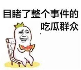 718娱乐你我她吃瓜官网,揭秘你我她吃瓜官网，畅享娱乐盛宴