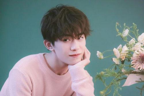 娱乐吃瓜妹易烊千玺微博